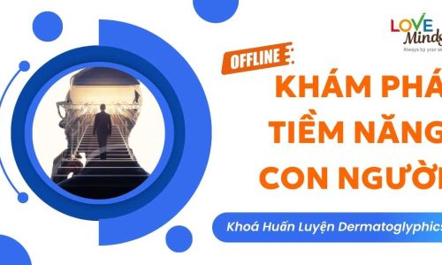 Training: Khám Phá Tiềm Năng Con Người 240825 (Offline)