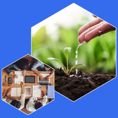 Gói Nền Tảng Khởi Nghiệp Startup-251729